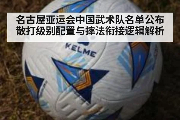 名古屋亚运会中国武术队名单公布 散打级别配置与摔法衔接逻辑解析